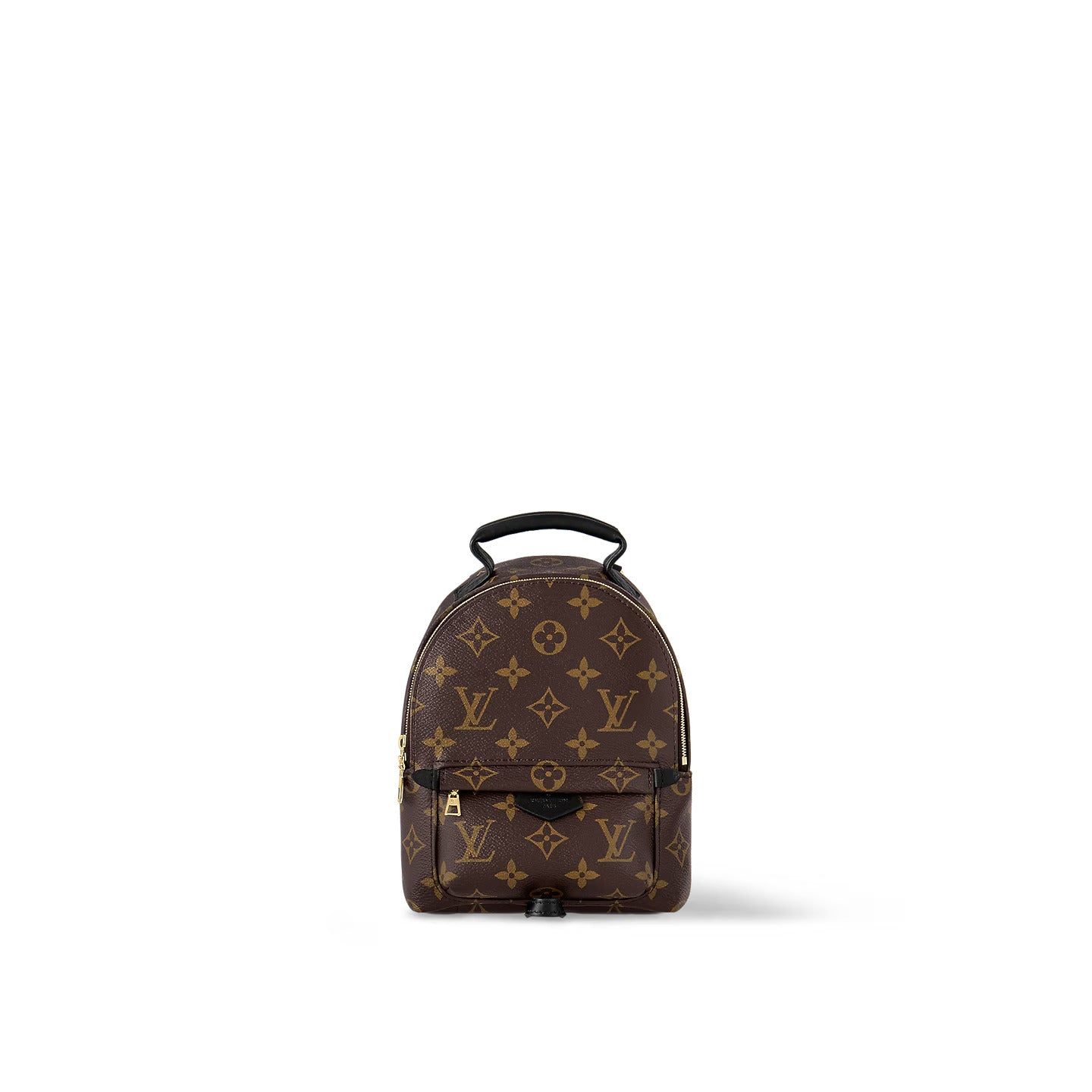 Louis Vuitton Monogram Palm Springs Mini